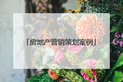 房地产营销策划案例