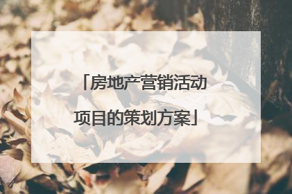 房地产营销活动项目的策划方案