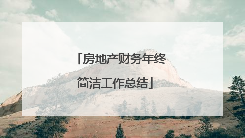 房地产财务年终简洁工作总结