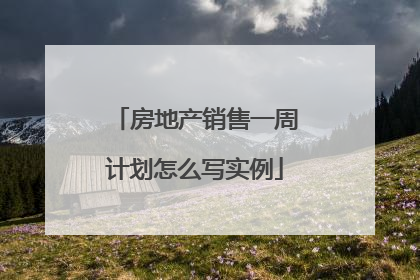 房地产销售一周计划怎么写实例