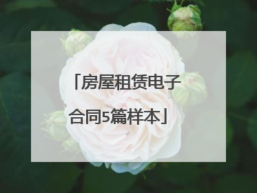 房屋租赁电子合同5篇样本