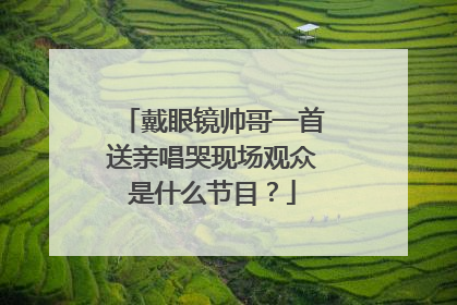 戴眼镜帅哥一首送亲唱哭现场观众是什么节目？