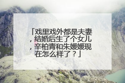戏里戏外都是夫妻，结婚后生了个女儿，辛柏青和朱媛媛现在怎么样了？