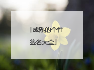 成熟的个性签名大全