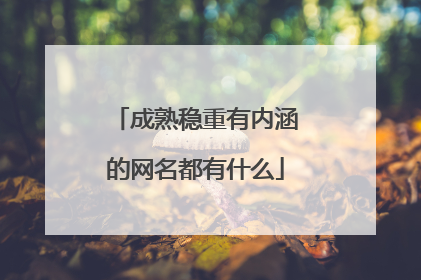 成熟稳重有内涵的网名都有什么
