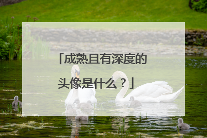 成熟且有深度的头像是什么？