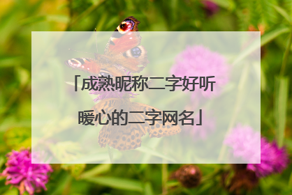 成熟昵称二字好听 暖心的二字网名