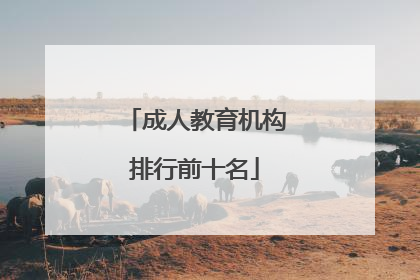 成人教育机构排行前十名