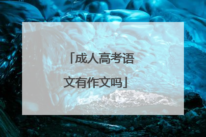 成人高考语文有作文吗