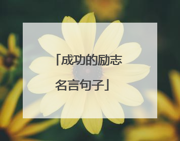 成功的励志名言句子