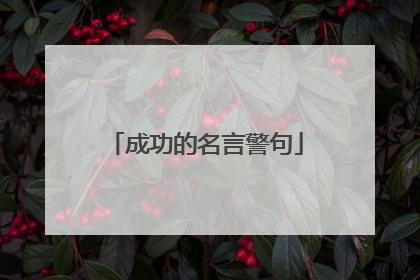 成功的名言警句