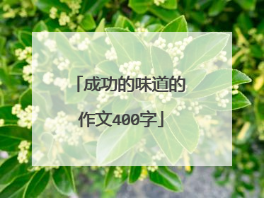 成功的味道的作文400字