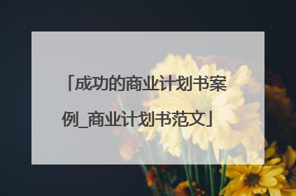 成功的商业计划书案例_商业计划书范文