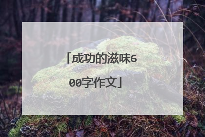 成功的滋味600字作文