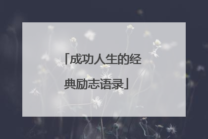 成功人生的经典励志语录