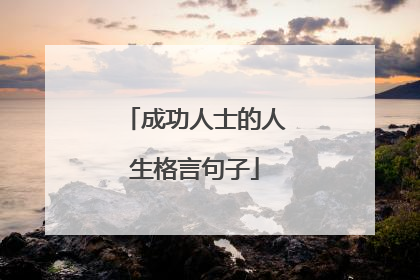 成功人士的人生格言句子