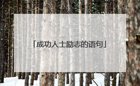 成功人士励志的语句