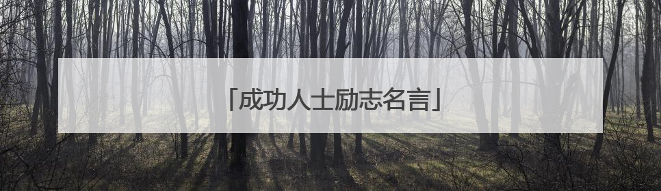 成功人士励志名言