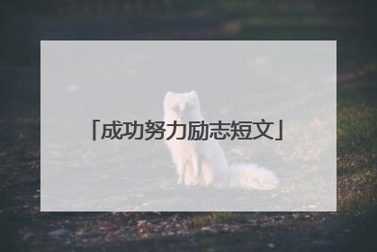 成功努力励志短文