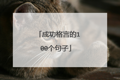 成功格言的100个句子