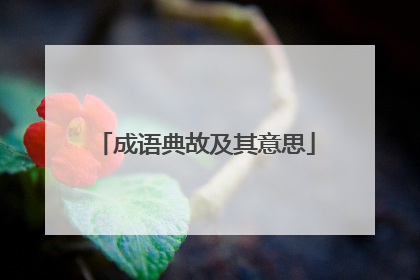 成语典故及其意思