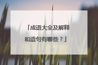 成语大全及解释和造句有哪些？
