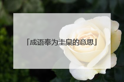 成语奉为圭臬的意思
