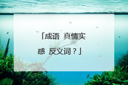 成语 真情实感 反义词?