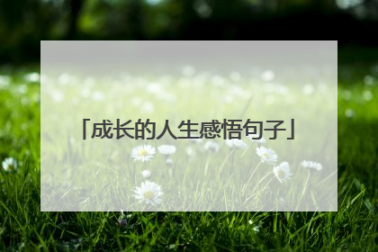 成长的人生感悟句子