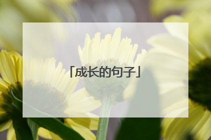 成长的句子
