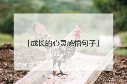 成长的心灵感悟句子