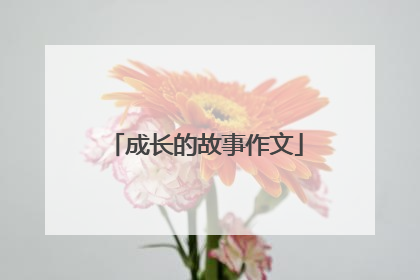 成长的故事作文