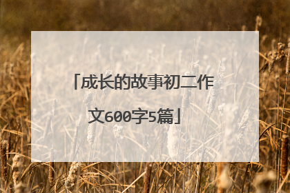 成长的故事初二作文600字5篇