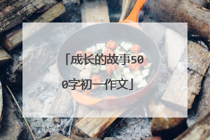 成长的故事500字初一作文
