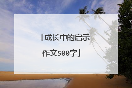 成长中的启示作文500字