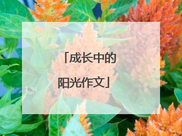 成长中的阳光作文