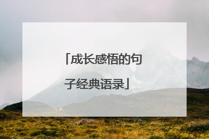 成长感悟的句子经典语录