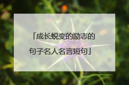 成长蜕变的励志的句子名人名言短句