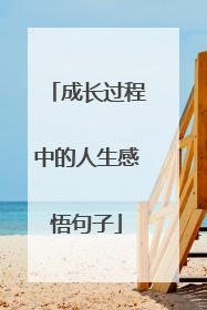 成长过程中的人生感悟句子