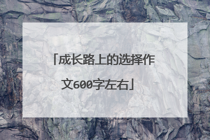成长路上的选择作文600字左右