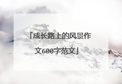 成长路上的风景作文600字范文