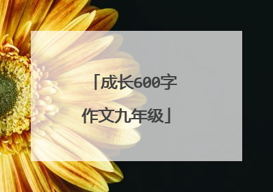 成长600字作文九年级