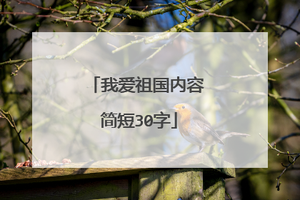 我爱祖国内容简短30字