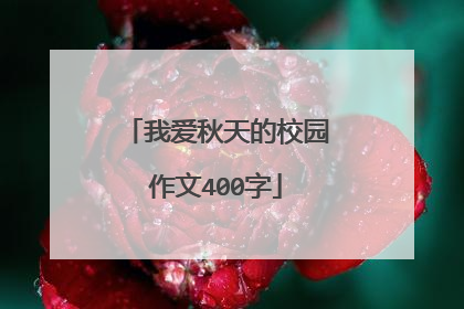 我爱秋天的校园作文400字