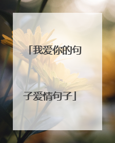 我爱你的句子爱情句子