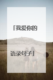 我爱你的语录句子