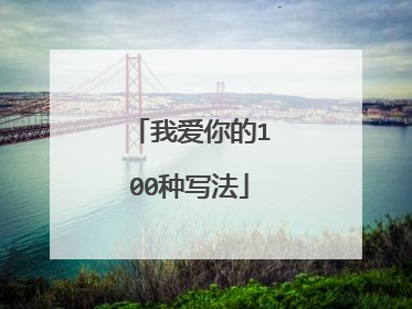 我爱你的100种写法