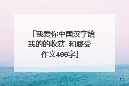 我爱你中国汉字给我的的收获 和感受作文400字
