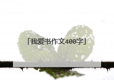 我爱书作文400字