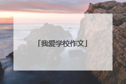 我爱学校作文